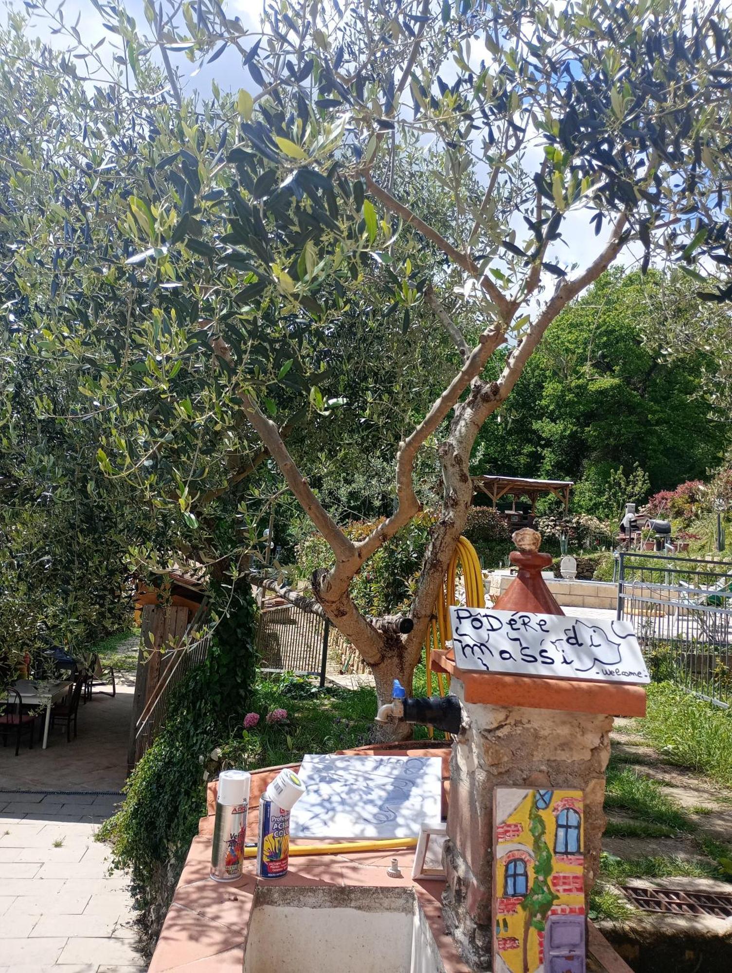 Casetta Nel Podere Di Massi Barberino di Mugello Exterior photo